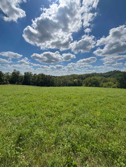 Property for sale in Clinton County, Iowa