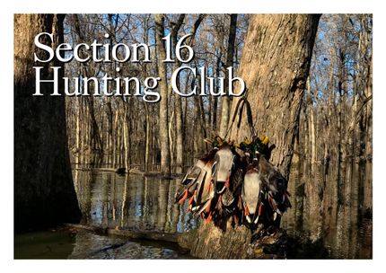 Riverfront Property for sale in Monroe County, Arkansas