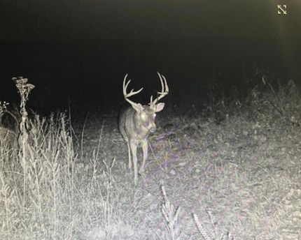 Timberland Property for sale in Jasper County, Missouri