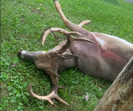 Property in Marinette County, Wisconsin