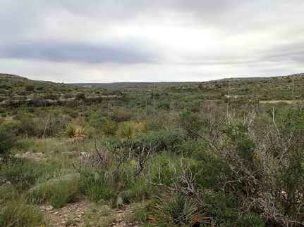 Recreational Property for sale in Terrell County, Texas