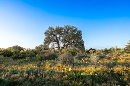 Property for sale in Concho County, Texas