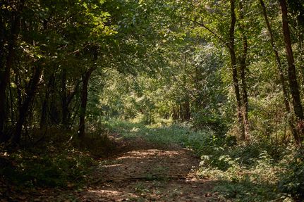 Property for sale in Washington County, Mississippi