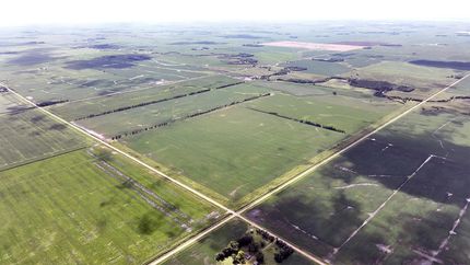 Property in Traverse County, Minnesota