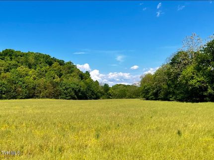Undeveloped Land for sale in Greene County, Tennessee