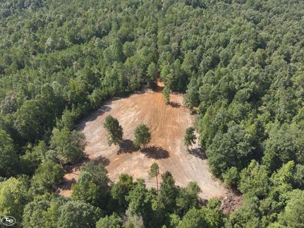 Property for sale in Greene County, Alabama