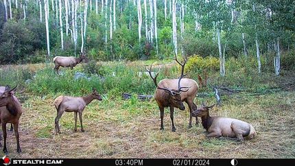 Property for sale in Montrose County, Colorado