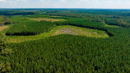 Property for sale in Screven County, Georgia