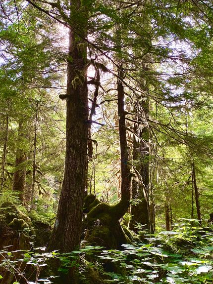 Property for sale in Snohomish County, Washington