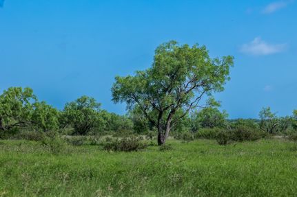 Property for sale in McCulloch County, Texas