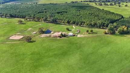 Property for sale in Titus County, Texas