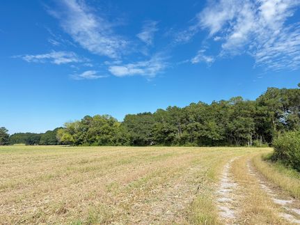 Property for sale in Marlboro County, South Carolina