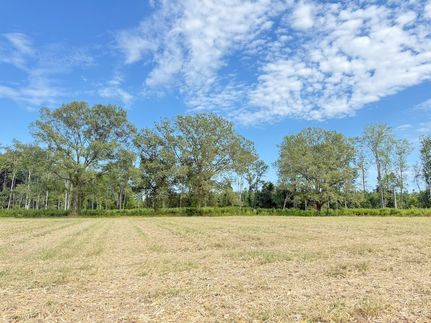 Undeveloped Land for sale in Marlboro County, South Carolina