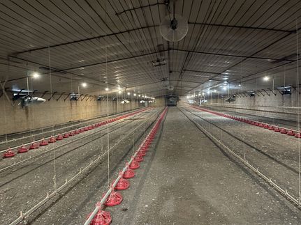 Property for sale in Cherokee County, Alabama