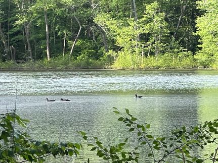 Property for sale in Lauderdale County, Alabama