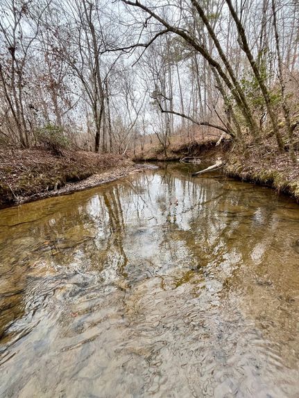 Farm Property for sale in Randolph County, Alabama