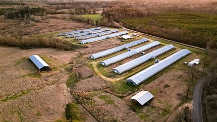 Farm Property for sale in Simpson County, Mississippi