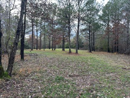 Hunting Land for sale in Franklin County, Alabama