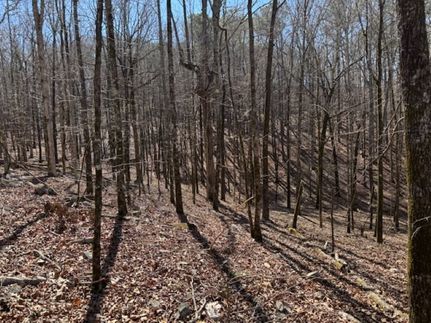 Timberland Property for sale in Harris County, Georgia