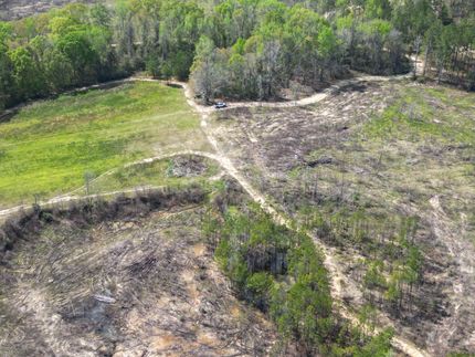 Undeveloped Land for sale in Macon County, Alabama