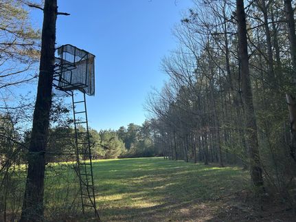 Recreational Property for sale in Simpson County, Mississippi