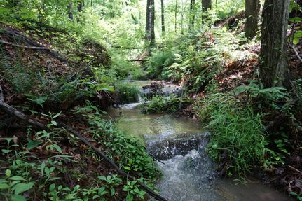 Property for sale in Lamar County, Georgia