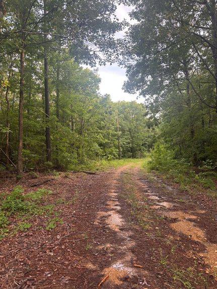 Property for sale in Pickens County, Alabama