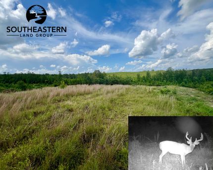 Property for sale in Lamar County, Alabama