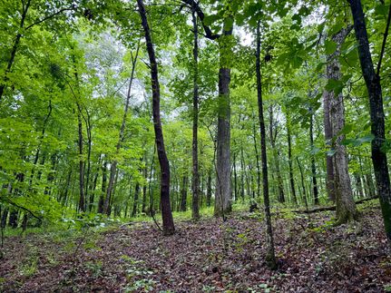 Timberland Property for sale in Shelby County, Alabama