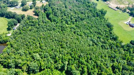 Timberland Property for sale in Cleburne County, Alabama