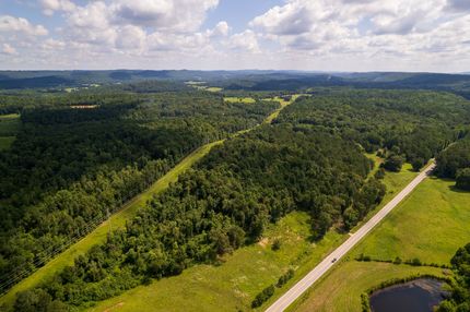 Hunting Land for sale in Blount County, Alabama