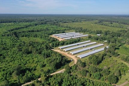 Property for sale in Wayne County, Mississippi