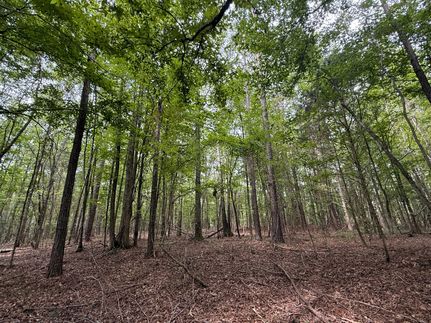 Property for sale in Pickens County, Alabama