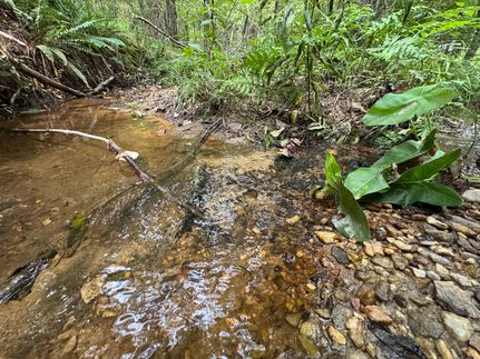 Property for sale in Coosa County, Alabama