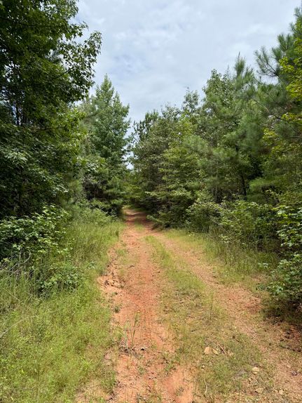Hunting Land for sale in Cleburne County, Alabama