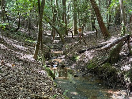 Property for sale in Winston County, Alabama