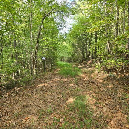 Hunting Land for sale in Randolph County, Alabama