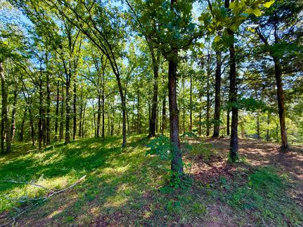 Undeveloped Land for sale in Bibb County, Alabama