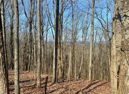 Property for sale in Cleburne County, Alabama