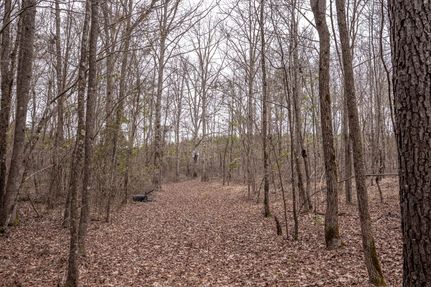 Property for sale in Leake County, Mississippi