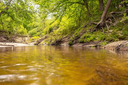 Property for sale in Hinds County, Mississippi