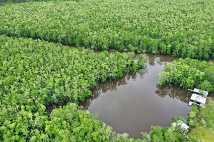 Undeveloped Land for sale in Livingston Parish, Louisiana