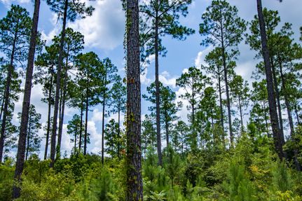 Property for sale in Houston County, Alabama