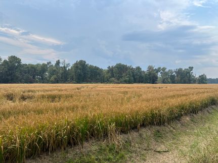 Timberland Property for sale in Phillips County, Arkansas