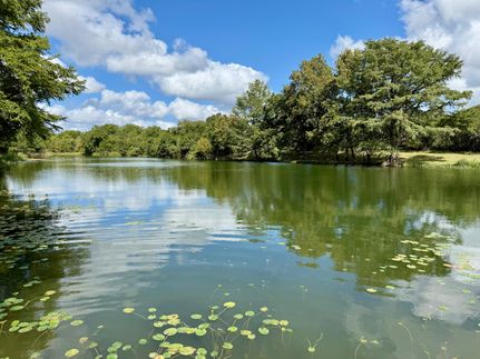 Riverfront Property for sale in Kerr County, Texas