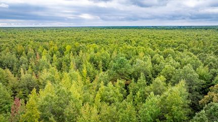 Property in White County, Arkansas