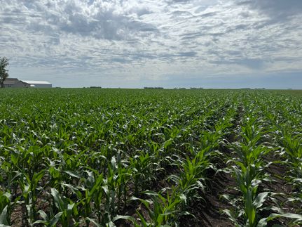 Property in Obrien County, Iowa