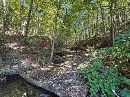 Ranch Property for sale in Columbiana County, Ohio