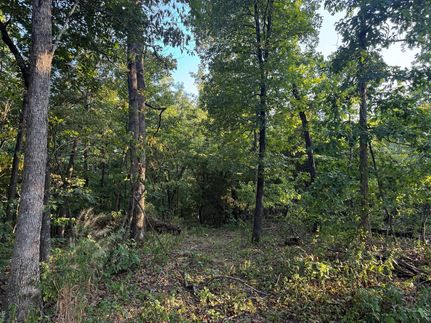 Property for sale in Madison County, Missouri