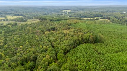 Property in Lamar County, Alabama